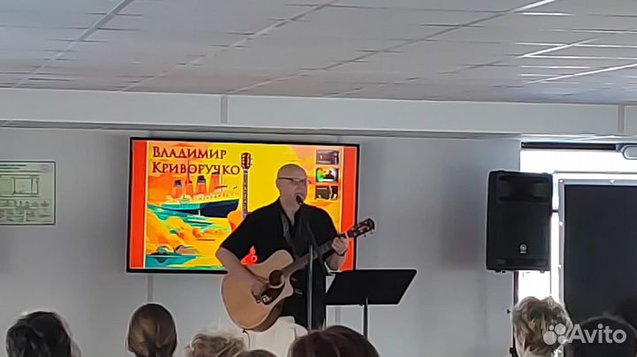 Вокалист-гитарист, бард на мероприятие
