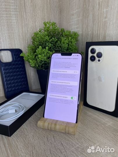 iPhone 13 Pro Max 256gb
