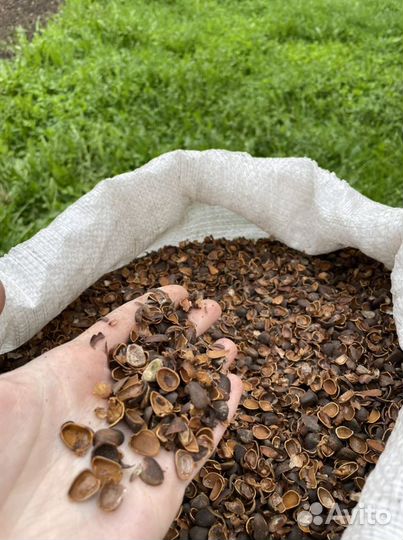 Мульча из скорлупы кедрового ореха