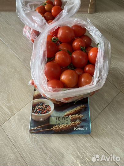 Помидоры домашние черри