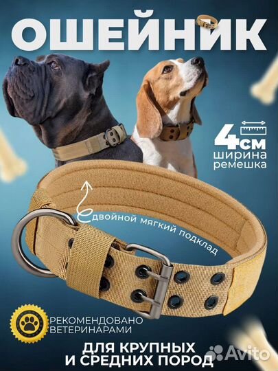 Ошейник для собак