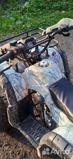 Avantis hunter 8+ lite