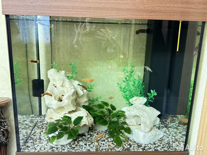 Аквариум с тумбой 200 литров
