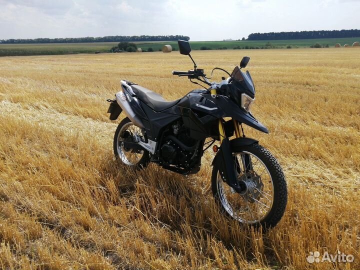 Racer Ranger 300
