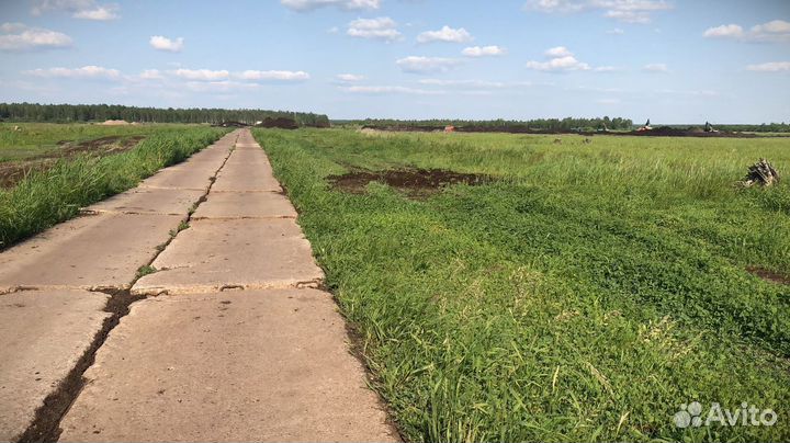 Торф от производителя