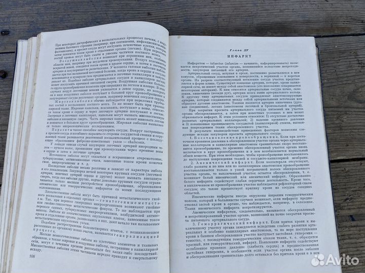 Основы анатомии животных книга 1961 год