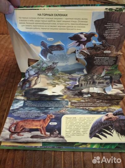 Энциклопедия с объемными элементами POP UP