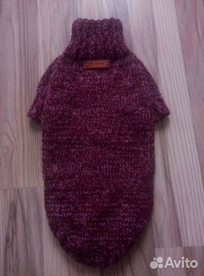 Одежда для собак