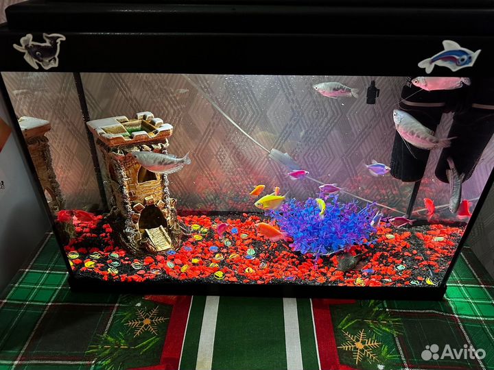 Аквариум с рыбками