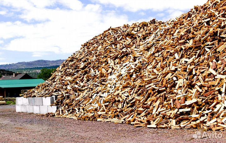 Дрова сегодня