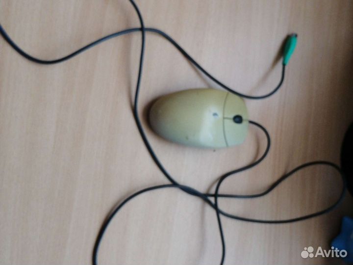 Мышка компьютерная