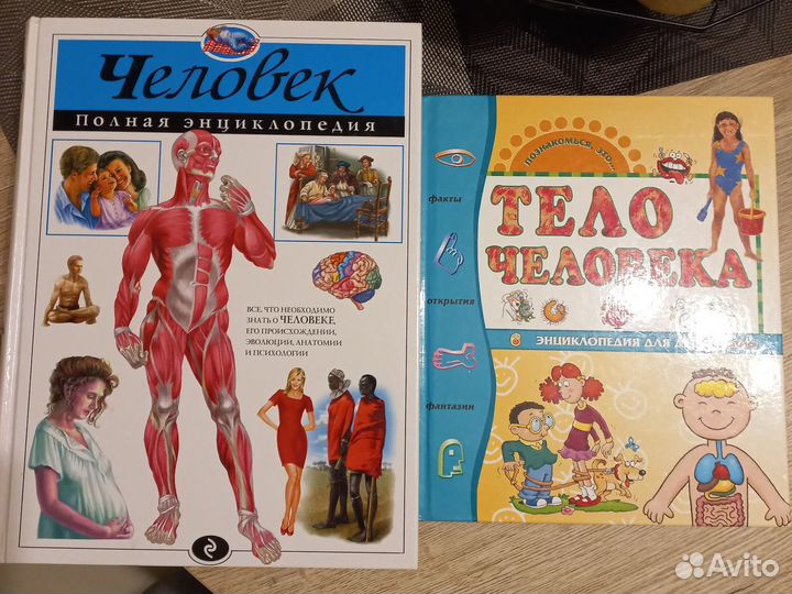 Книги для детей Тело человека