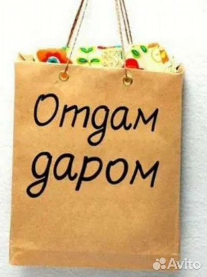 Отдам 2 пакета вещей на девочку 11 лет)