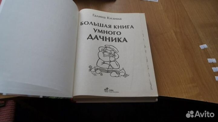 7066 Кизима Г. Большая книга умного дачника. М. С