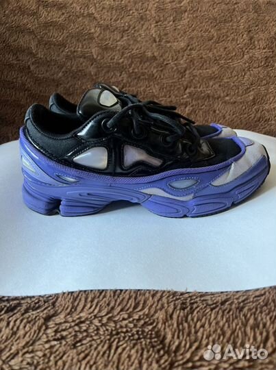 Adidas raf best sale simons purple