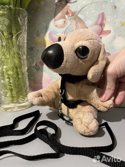 Комбинезон, ботинки, шлейка для собаки