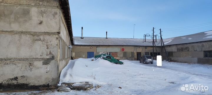 Производство грибов вешенка