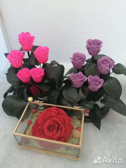 Роза в колбе