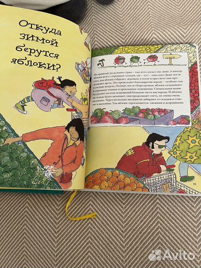 Кэтрин Риппли Почему