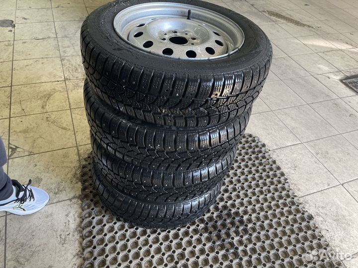 Tigar Sigura Stud 175/65 R14