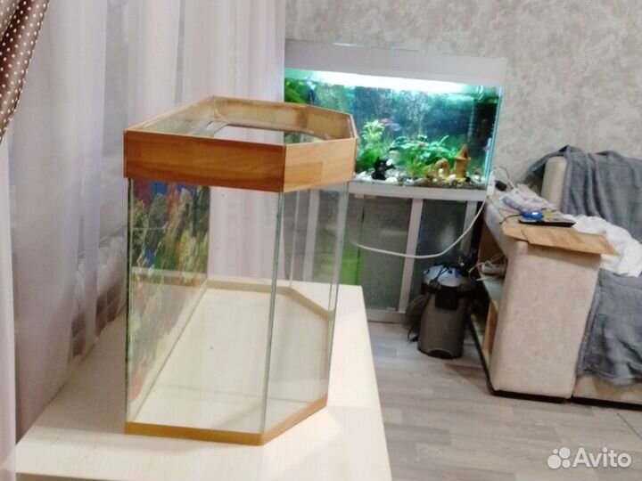 Аквариум