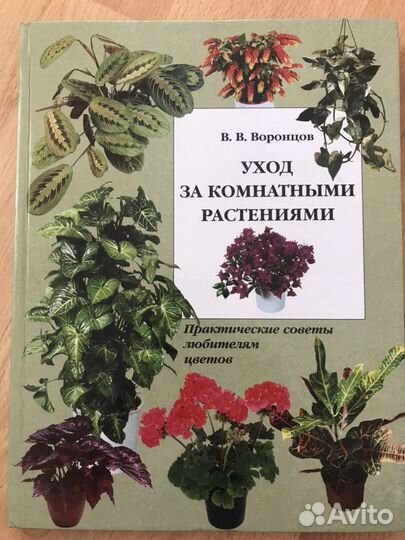 Комнатные растения