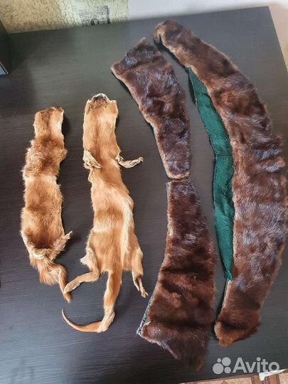 Шкурка животного