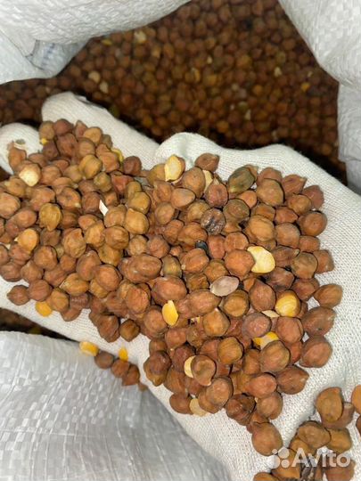 Горох, нут в мешках