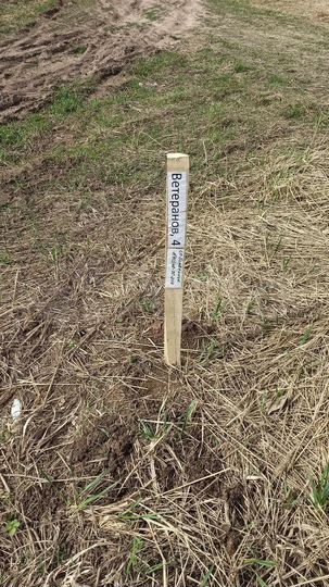 Участок 15 сот. (ИЖС)