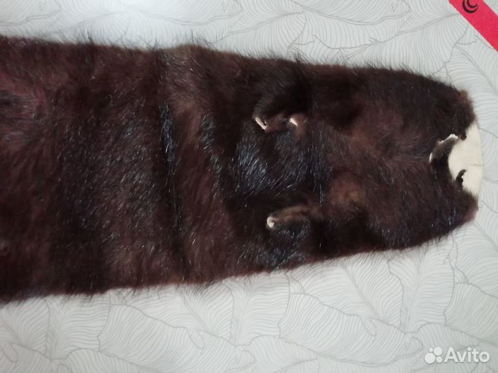 Шкурки норки