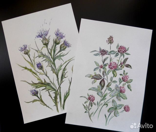 Картина / постер 