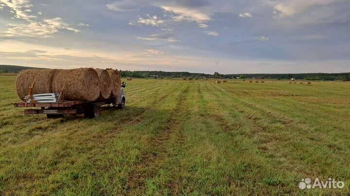 Продам сено в рулонах