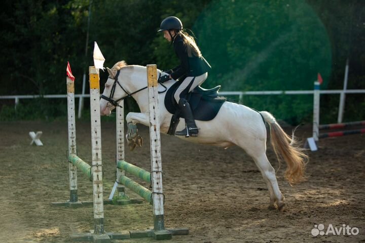 Спортивный Пони Сириус