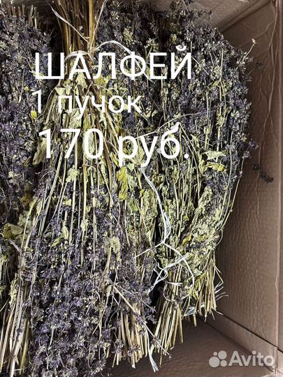 Шалфей в пучках