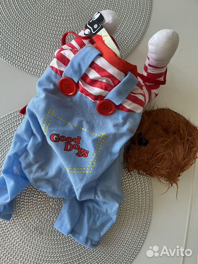 Одежда для собак