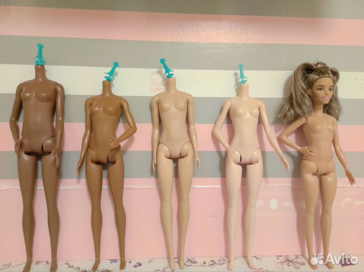 Тело Barbie fashionistas