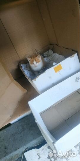 Магнитный пускатель