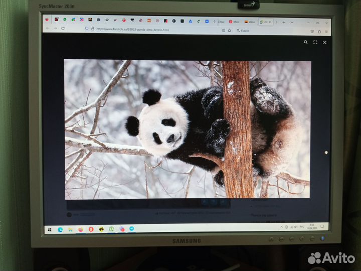 Монитор samsung 203 B