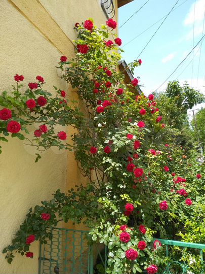 Дом 164 м² на участке 6 сот.