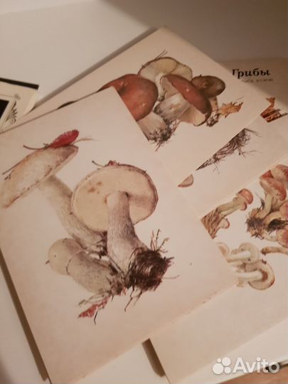 Открытки советские СССР