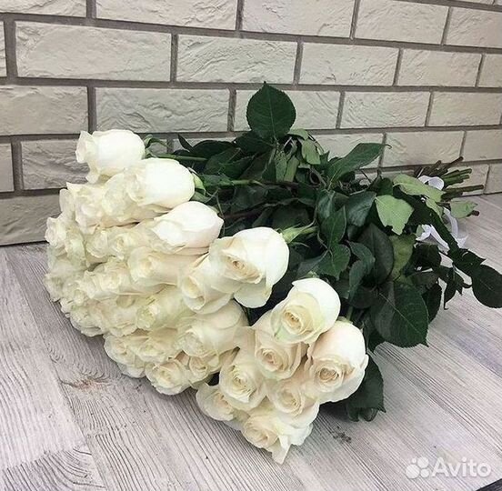 Высокие розы Гигантские розы 110 Доставка цветов