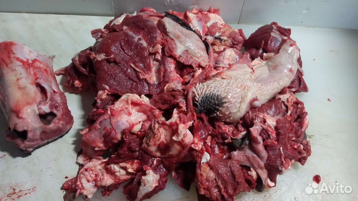 Кости Корм животным Обрезь Жилки