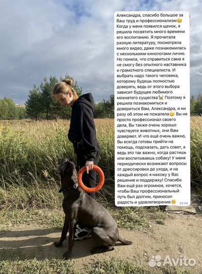 Дрессировка собак/кинолог ; г.Раменское