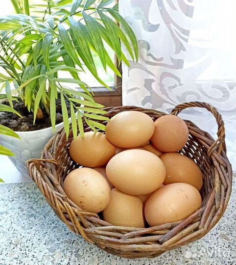 Мясо, молоко, масло, творог, сливки, яйца