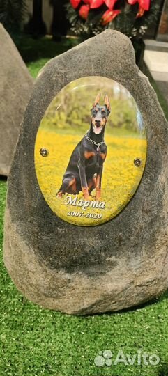 Памятник собаке, кошке и другим животным в Твери