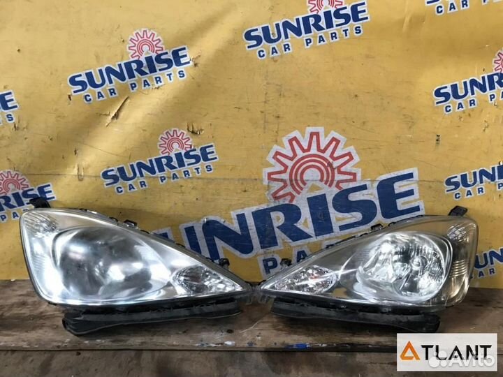 Nose cut honda FIT shuttle