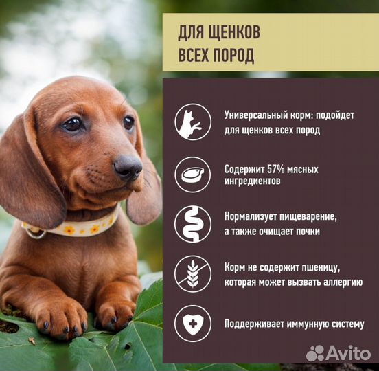 Grandin holistic Сухой корм для щенков