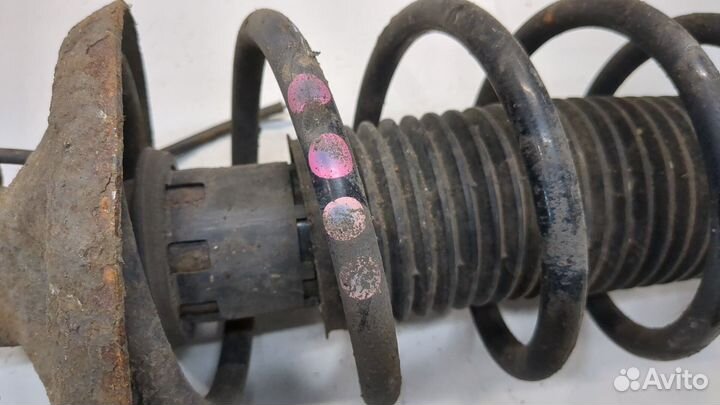 Амортизатор подвески Volkswagen Bora, 2005