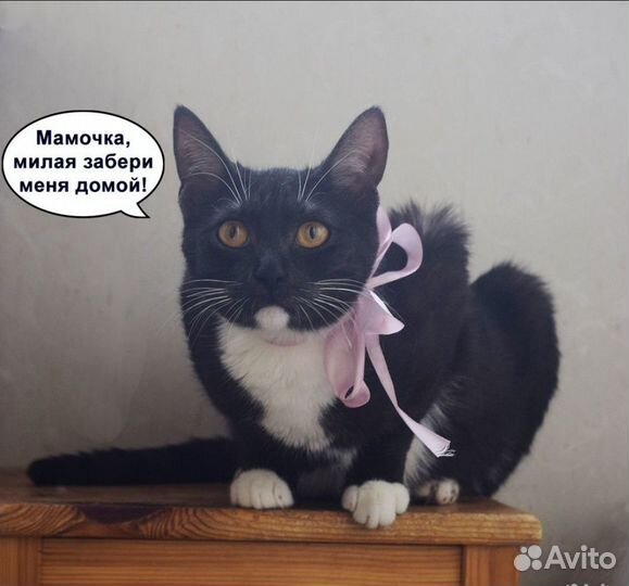 Белые носочки и нежная душа Лилу