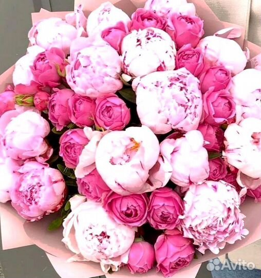 Пионы, букет цветов, пионы опт